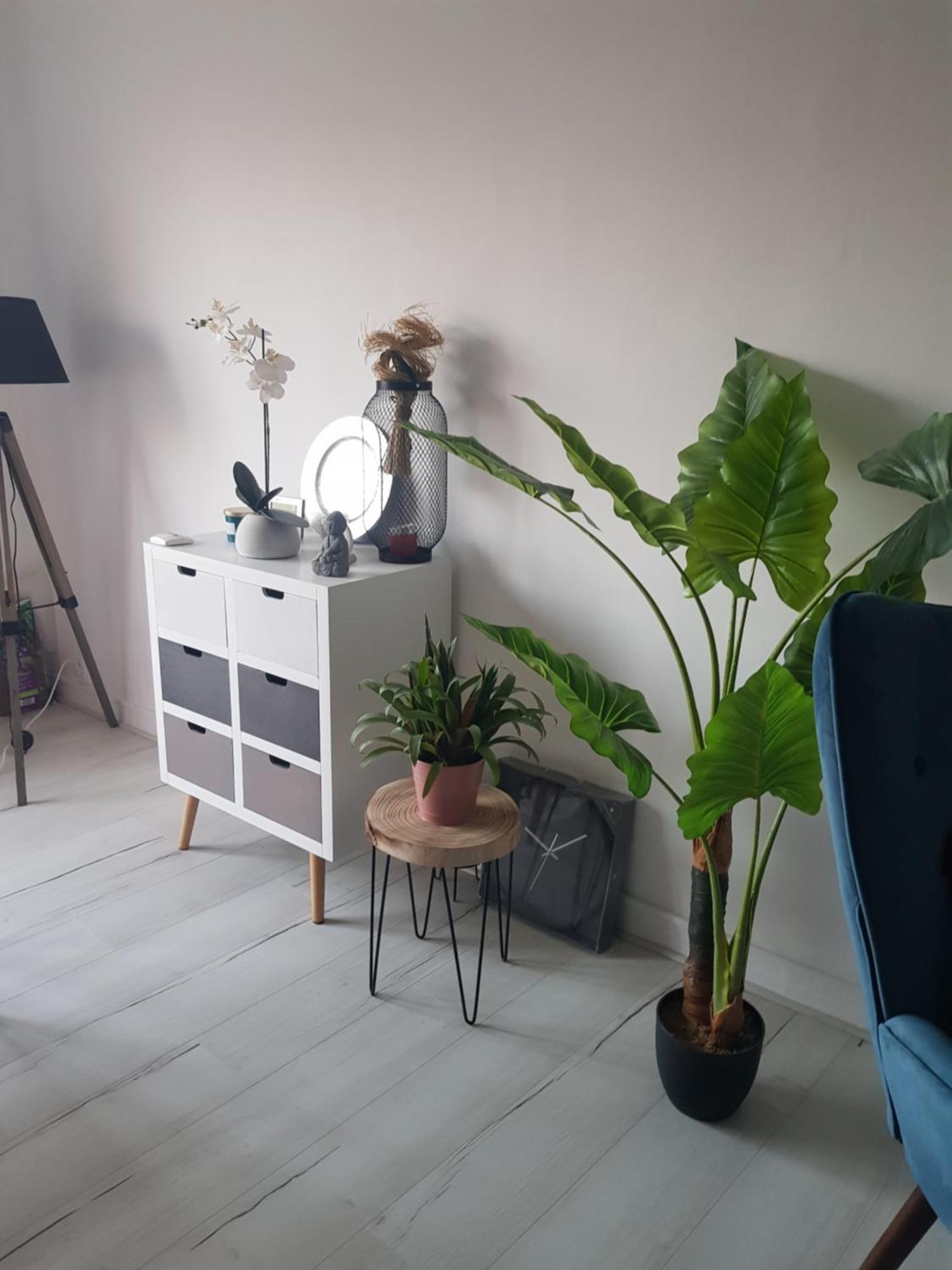Celeste Homestay *